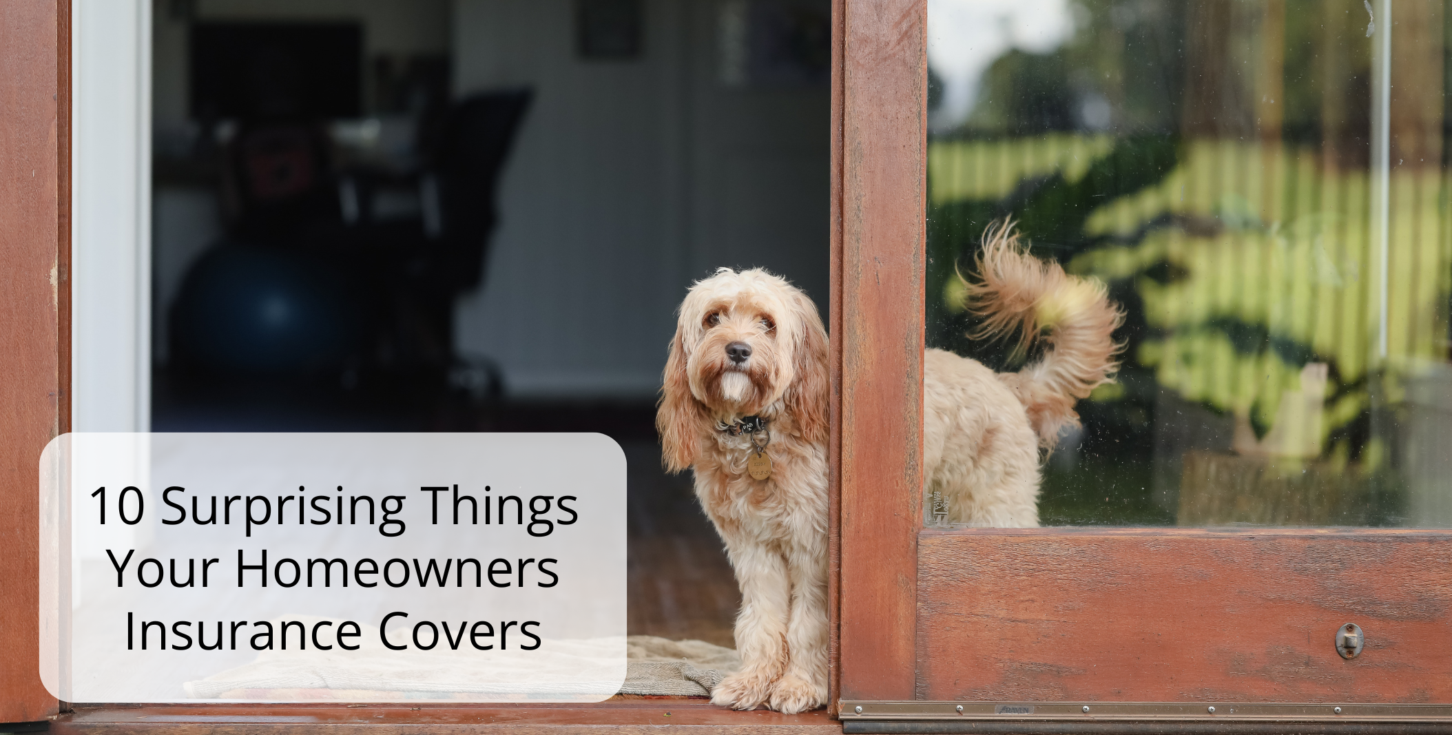 10 Surprising Things Your Homeowners Insurance Covers